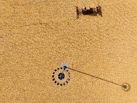 Corn Harvest in Lianyungang