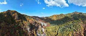 Tourists Enjoy Maple Leaves in Benxi