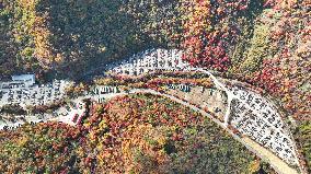 Tourists Enjoy Maple Leaves in Benxi