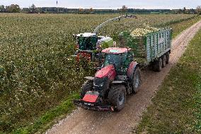 Harvesting field corn