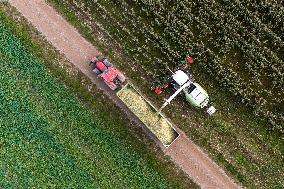 Harvesting field corn