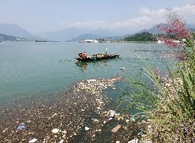 A Worker Salvages Floating Objects in the Yangtze River