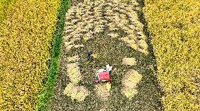 #CHINA-AUTUMN-HARVEST (CN)