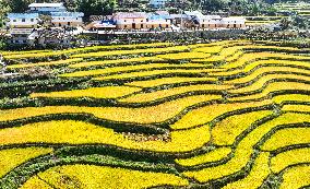 #CHINA-AUTUMN-HARVEST (CN)
