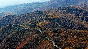 Ming Dynasty Great Wall Autumn Scenery in Zhangjiakou