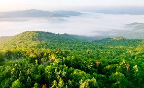 Lesser Khingan Mountains Cloud Scenery