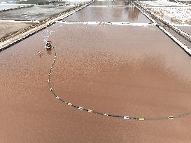 Dapu Salt Field in Lianyungang