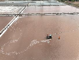 Dapu Salt Field in Lianyungang