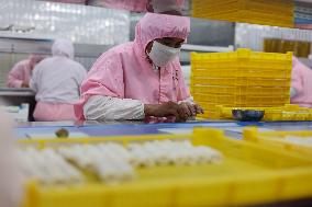 Prepared Dishes Production in Binzhou