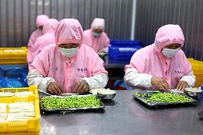 Prepared Dishes Production in Binzhou