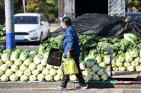 Citizens Buy Autumn Vegetables in Changchun