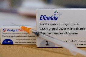 Flu Vaccination Campaign - France
