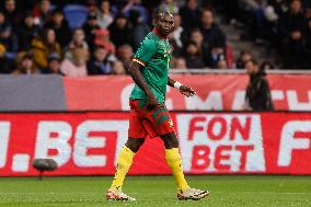 Russia v Cameroon - International Friendly