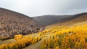 (SKYEYE) CHINA-INNER MONGOLIA-HEXIGTEN BANNER-AUTUMN-SCENERY (CN)