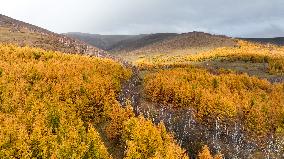 (SKYEYE) CHINA-INNER MONGOLIA-HEXIGTEN BANNER-AUTUMN-SCENERY (CN)