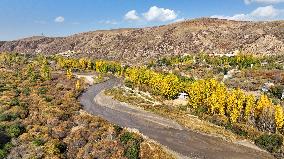 (SKYEYE) CHINA-INNER MONGOLIA-HEXIGTEN BANNER-AUTUMN-SCENERY (CN)