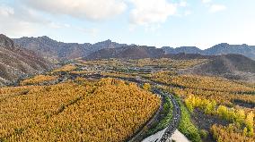 (SKYEYE) CHINA-INNER MONGOLIA-HEXIGTEN BANNER-AUTUMN-SCENERY (CN)