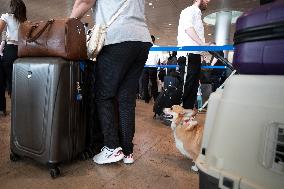 (FOCUS) ISRAEL-BEN GURION INT'L AIRPORT-STRANDED PASSENGERS