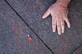 Climate Change Protest - Toulouse