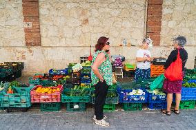 Daily Life In Zamora