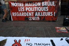 Toulouse: Gathering Against The Decried A69 Highway