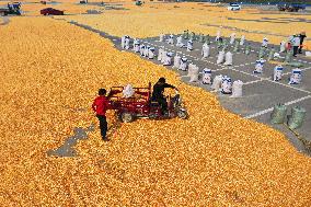 Villagers Dry Corn at a Parking Lot in Xuzhou