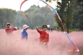 Tourists Enjoy Pink Grass at the Sanqiao Wetland Park in Nanjing