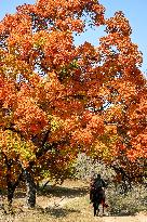 CHINA-INNER MONGOLIA-TONGLIAO-AUTUMN SCENERY (CN)