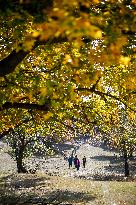 CHINA-INNER MONGOLIA-TONGLIAO-AUTUMN SCENERY (CN)