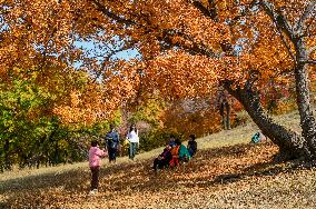 CHINA-INNER MONGOLIA-TONGLIAO-AUTUMN SCENERY (CN)