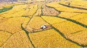 #CHINA-AUTUMN-HARVEST (CN)