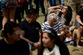 Persons Observe Annular Solar Eclipse From Mexico