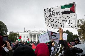 Day of Action for Palestine, Washington, DC