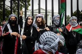 Day of Action for Palestine, Washington, DC