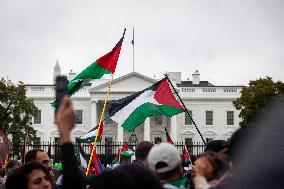 Day of Action for Palestine, Washington, DC