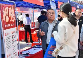 Job Fair in Handan