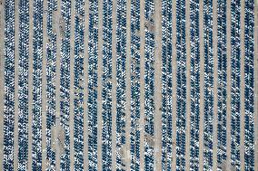 Changan Automobile's Vehicle Distribution Center in Chongqing