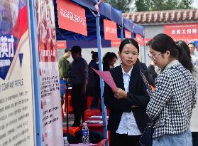 Job Fair in Handan