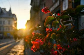 Lviv at dusk