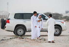 Training Of Hunting Falcon In Qatar