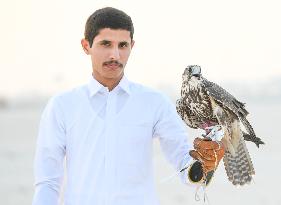 Training Of Hunting Falcon In Qatar