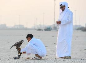 Training Of Hunting Falcon In Qatar