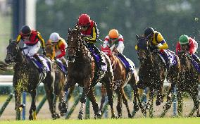 Horse racing: Shuka-sho