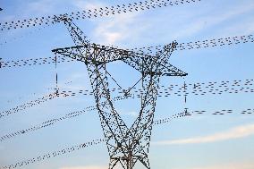 State Grid