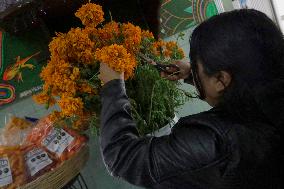 Preparation Of Pulque De Flor De Cempasuchil