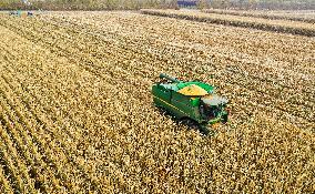 CHINA-INNER MONGOLIA-TONGLIAO-HARVEST SEASON (CN)