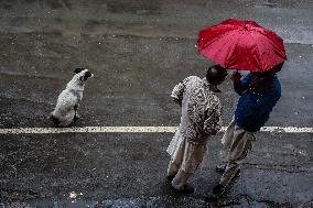 Rainfall In Kashmir