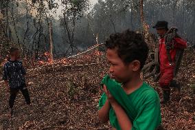 Peatland Fire In Ogan Ilir Regency, South Sumatra