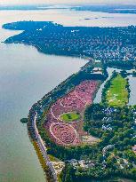 Visitors Enjoy Pink Grass at Dianshan Lake Park in Kunshan