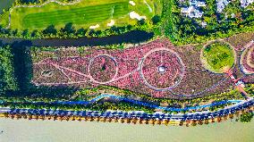 Visitors Enjoy Pink Grass at Dianshan Lake Park in Kunshan